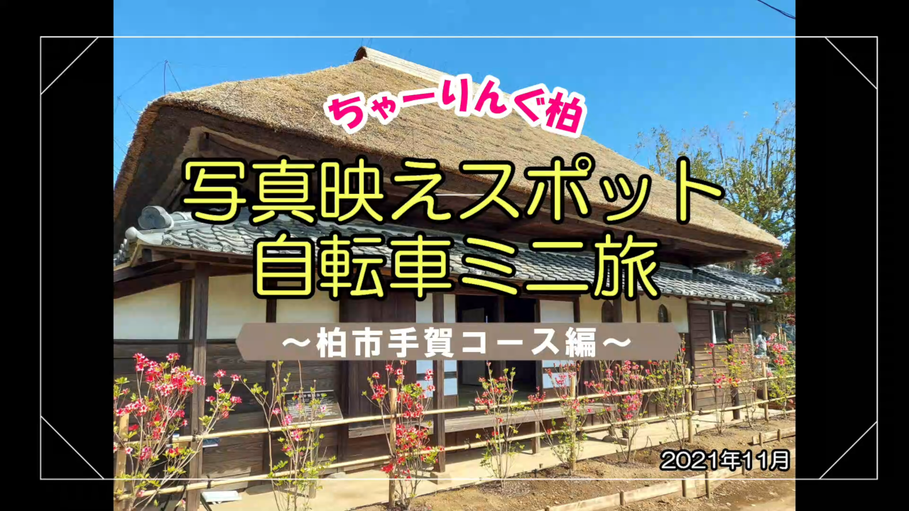 手賀コース動画