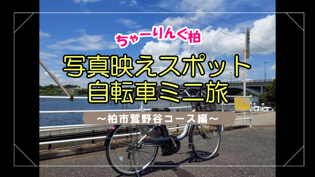 鷲野谷コース動画